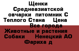 Щенки Среднеазиатской овчарки (питомник С Теплого Стана) › Цена ­ 20 000 - Все города Животные и растения » Собаки   . Ненецкий АО,Фариха д.